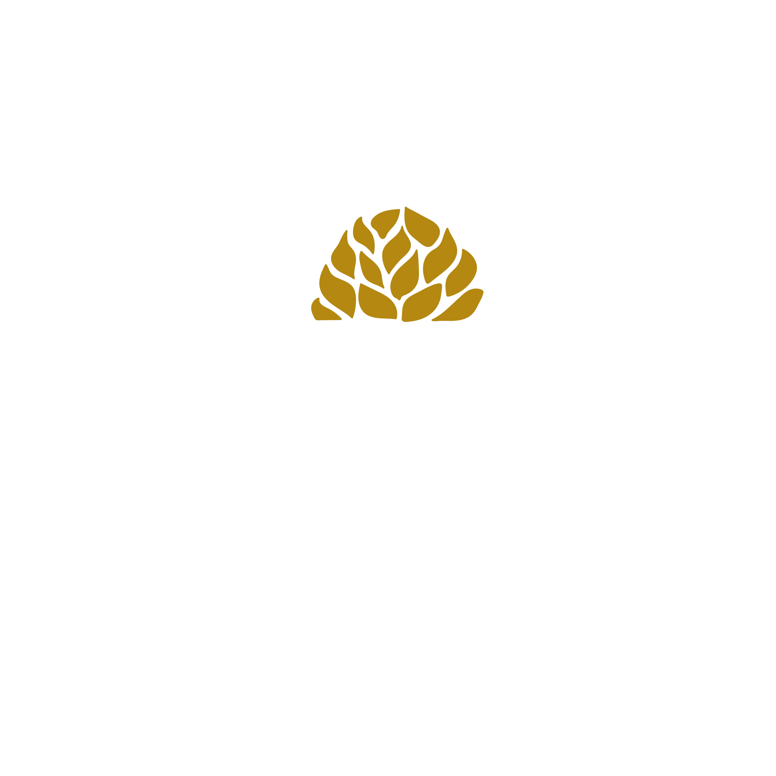 Equinox Logo-02